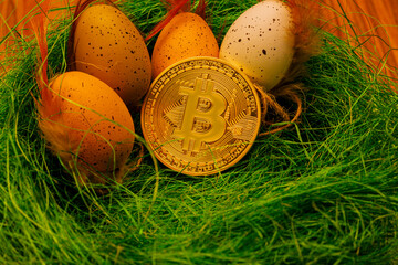 Vogelnest mit Eiern und Bitcoin