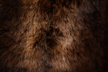 The skin of a bear