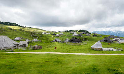 Fototapeta na wymiar Mountain cottage hut or house on idyllic hill Velika Planina.