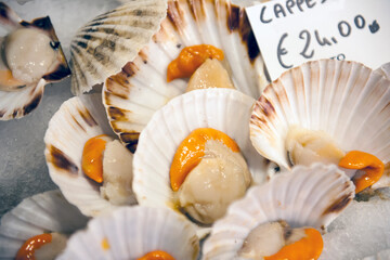 A bunch of scallops for sale at a street market