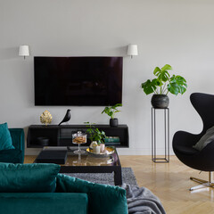 Big television screen in stylish living room