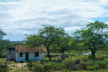 Estado da Bahia