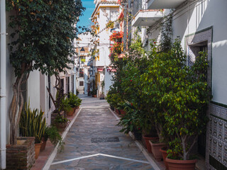 Typical narrow street with flowerpot of Marbella, Costa del Sol, Malaga Province. Empty Andalusian street