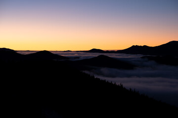Distant dark mountain hills covered with dense pine forest surrounded with white foggy clouds at sunrise.