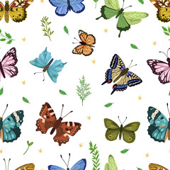 Butterfly vector Seamless Pattern,spring and summertime. 