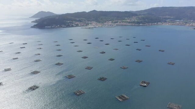 Mussel seafood farms in Ria Muros y Noya Galicia Spain