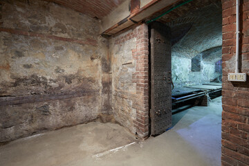 Fototapeta na wymiar Old, empty basement with brick walls and wooden portal