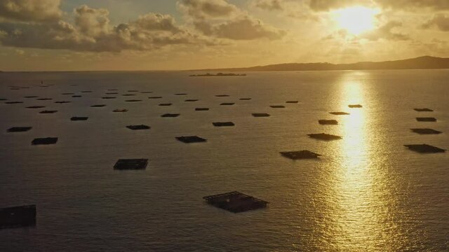 Mussel seafood farms in Ria Arousa Galicia Spain