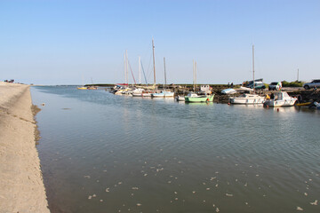 atlantic coast on noirmoutier island in vendée (france) 