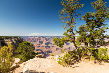 Fototapeta na wymiar The Grand Canyon, Arizona, United States