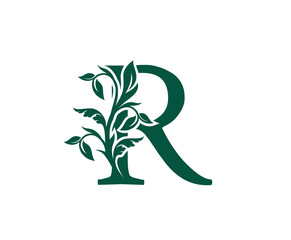 Nature R Letter Floral logo. Vintage classic ornate letter vector.