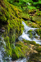 Fototapeta na wymiar Ecology and nature. The source of clean drinking spring water among stone rocks and moist fresh green moss