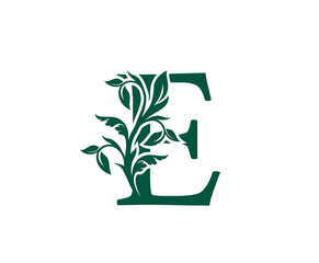 Nature E Letter Floral logo. Vintage classic ornate letter vector.