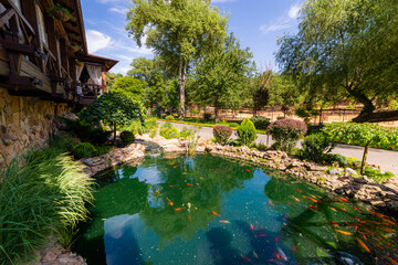 Fototapety na wymiar - Fototapeta24.pl