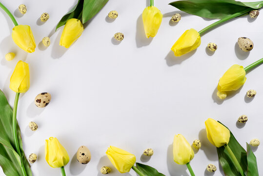 Colorful easter quail eggs and tulips on white background . Flat lay.