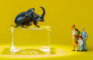 Miniature family visits a museum exhibition with Rhino Beetle