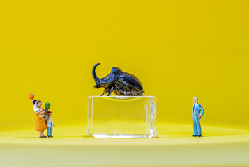 Miniature family visits a museum exhibition with Rhino Beetle