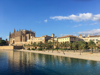 Surroundings of the Cathedral of Mallorca with palm grove and a large fountain in the city of Palma.