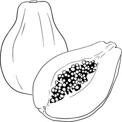 Vector hand drawn set of papaya. Delicious tropical vegetarian objects. Use for restaurant, meal, market, store, menu.