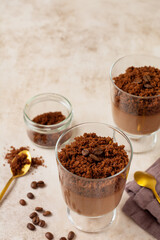 Delicious dessert chocolate mousse with brownie in glass jars on a light slate, stone or concrete background. Selective focus