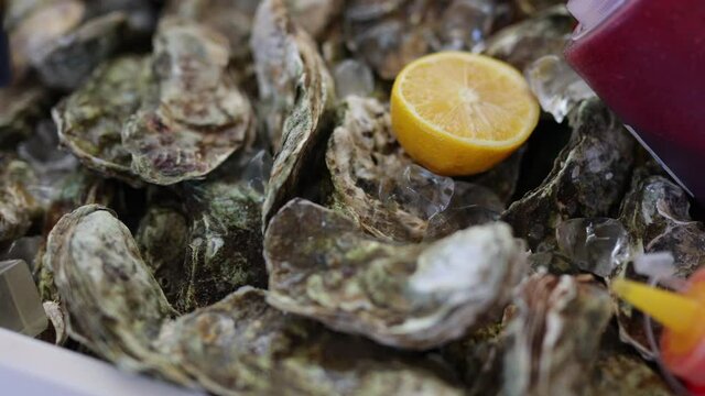 closed oysters, fresh oyster shell, mollusks in seafood market, sea restaurant, expensive fresh food, dish restaurant menu