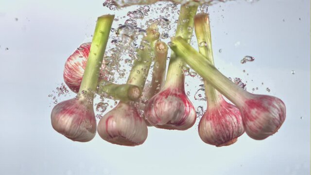 Super slow motion heads of fresh garlic fall under the water on a white background. Filmed on a high-speed camera at 1000 fps. High quality FullHD footage