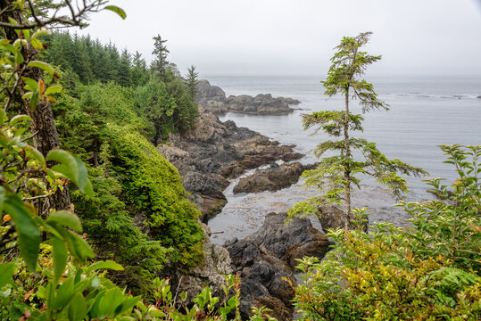 Wild Pacific Trail in Ucluelet, Vancouver Island, British Columbia, Canada