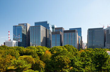 Skyscrapers of Marunouchi district, viewed from Imperial Palace gardens. Tokyo. Japan