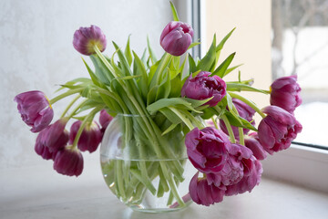 Beautiful tulips in a glass vase. Spring flowers bouquet. Easter, spring greeting, Woman day concept. 
