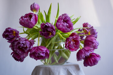 Beautiful tulips in a glass vase
