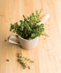 Freshly harvested bunch of thyme in gray bowl. Selective focus. Shallow depth of field. 