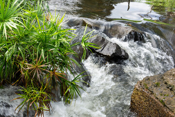Water of a small stream rushing under the piers of a bridge with tropical plants at the side.