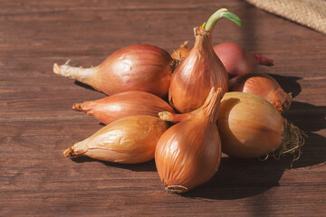 Large yellow unpeeled onion on a dark wooden background. The unique natural antibiotic of the bulbous vegetable Allium cepa is useful. Close-up.