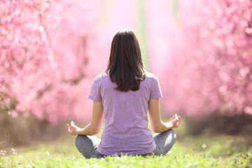 Back view of a yogi practicing yoga in a flowered field