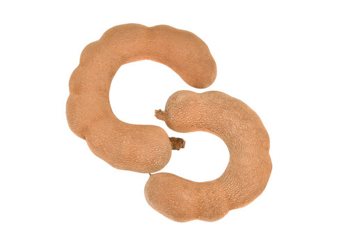 tamarind isolated on white background