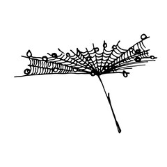 Cute dandelion fluffy umbrella seed covered with cobweb in raindrops wafting on the breeze. Well for prints, design, decoration and more