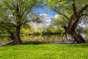 Calm and idyllic river in the nature reserve spring, summer. On the dense river bank