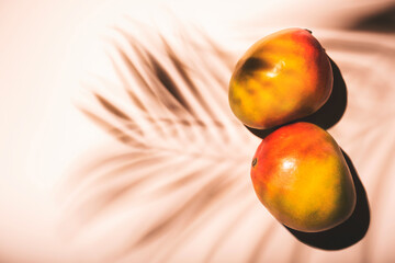 Summer mango fruits top view. Contemporary still life, lpale pink background, hard light and palm...