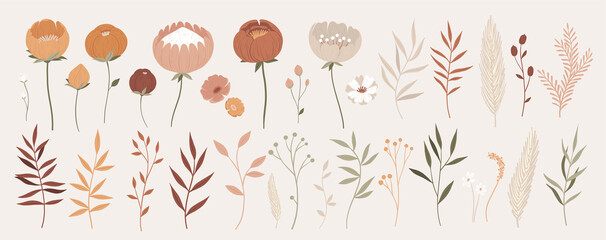 Big collection of floral elements with hand drawn outline. Vector illustration chamomile, poppy, pussy willow, leaves and branches in pastel colors. Tender flowers for your design.