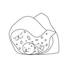 Vector linear drawing, cute spotted seal and baby, children's illustrations. Arctic animals. Doodle, 