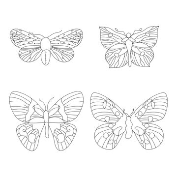 Vector linear drawing, set of cute butterflies. Doodle illustration