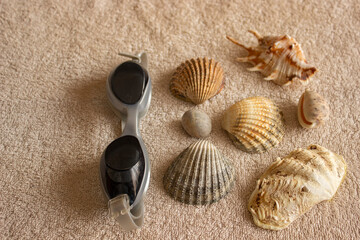 collage of seashells and swimming goggles