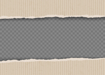 Cardboard sheet with torn edges