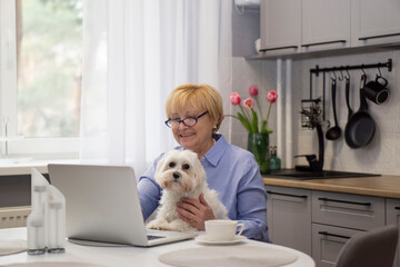 Senior Smiling Woman  with maltese dog has video chat  with grandchildren and  greeting  .  Online ...