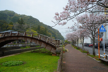 cherry blossoms and wooden bridge.