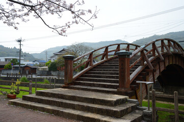 cherry blossoms and wooden bridge.