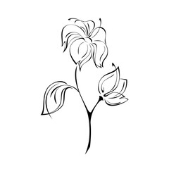 ornament 1657. stylized blooming flower with large petals on the stem with one leaf and one bud in black lines on a white background