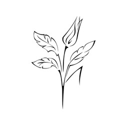 ornament 1658. stylized flower bud on a stem with leaves black lines on a white background