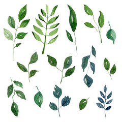 Leaves, greens and foliage. Backgrounds and wallpapers for invitations, cards, fabrics, packaging, textiles, posters. Watercolor floral illustration.
