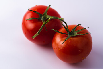 tomatoes on a vine